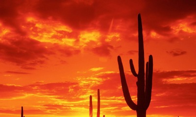 Аризона, закат