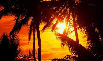 Красивейший закат у пальм