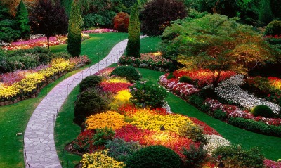 Батанический сад