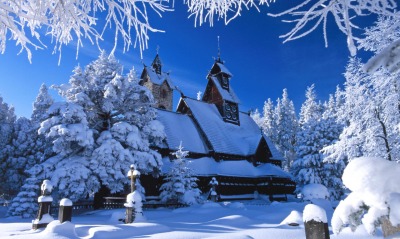 здание в снегу, деревья в снегу