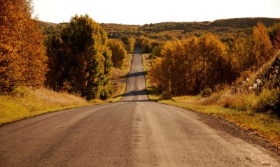 Дорога сквозь осень