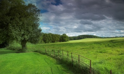 Зеленое поле, забор