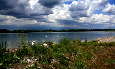Облака, трава, цветы, озеро
