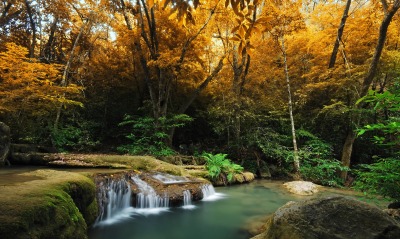 Осенний лес с водопадом