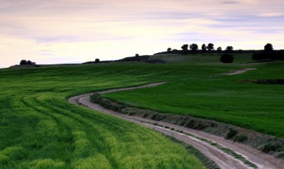 Извилистая дорога в поле
