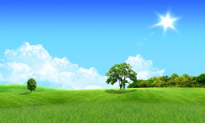 Солнце, лето, небо, трава, деревья