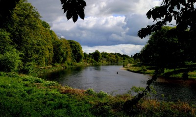 Река текущая вдоль зеленого леса