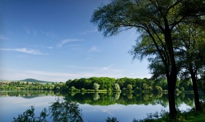 Летняя природа у озера