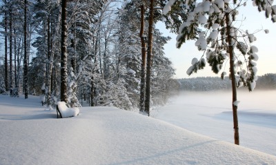 Снег, зима, лавочка, лес