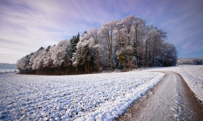 Снег, поле, лес, деревья