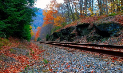Железная дорога в лесу