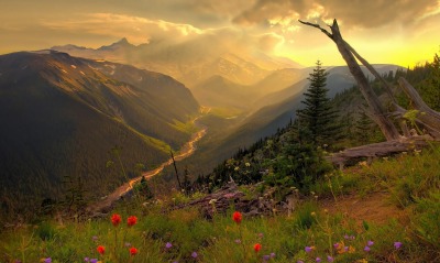 цветочная поляна, горы, закат