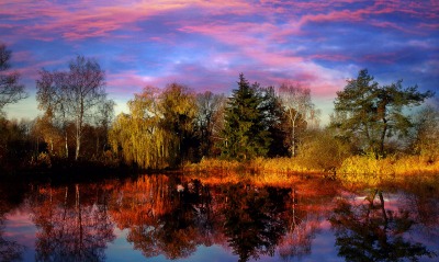 розовый закат над озером и деревьями