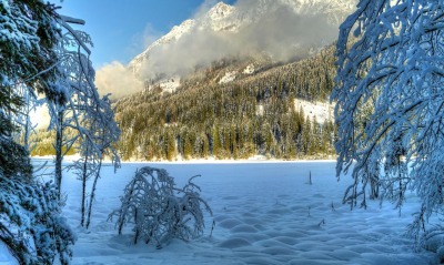 горы, снег, деревья