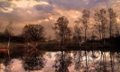 отражение деревьев на закате