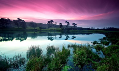 розовый рассвет над озером