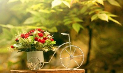 Декор цветы в велосипеде
