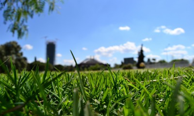 трава, небо