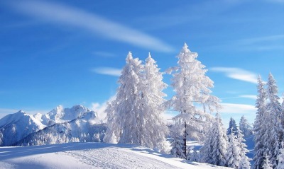 природа, зима
