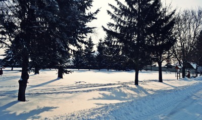 парк, зима