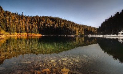 озеро, лес