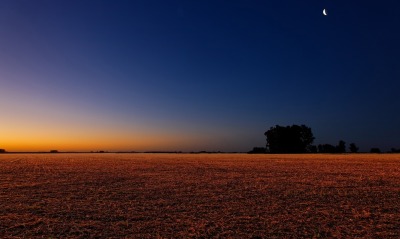 поле, закат