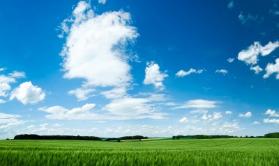 облака, поле