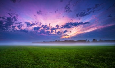 поле, туман