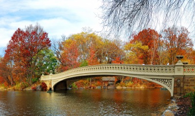 мост, осень