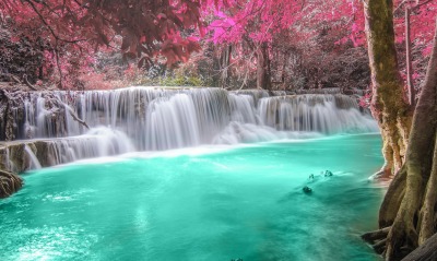 водопад деревья озеро