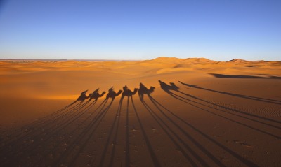 пустыня, дюны