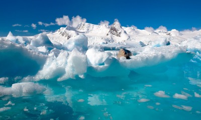 лед айсберг ледник вода