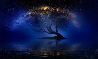 дерево, галактика
