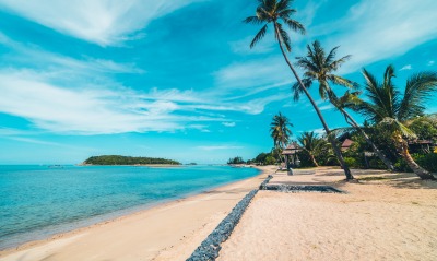 пляж песок пальмы берег горизонт лазурный