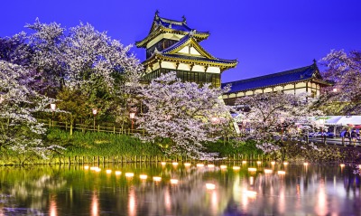 япония огни цветение над водой