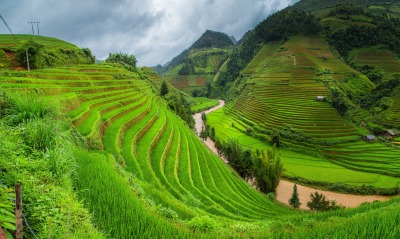 рисовые поля, холмы