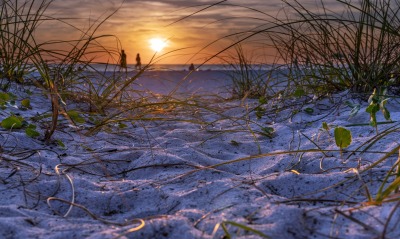 песок закат трава