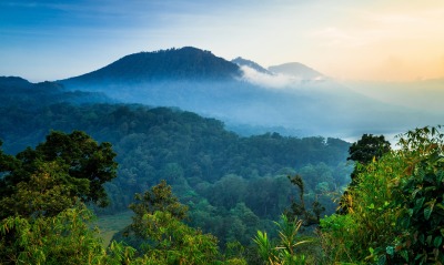 горы джунгли лес высота туман