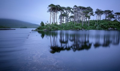 остров деревья озеро отражение штиль