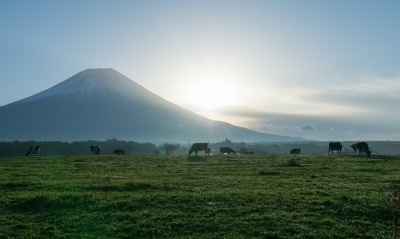 вулкан гора пастбище поле