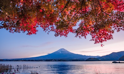 вулкан гора озеро ветви осень