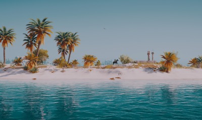 пальмы, берег
