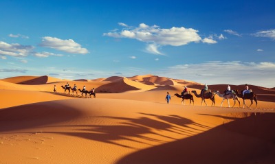 дюны барханы пустыня верблюды караван