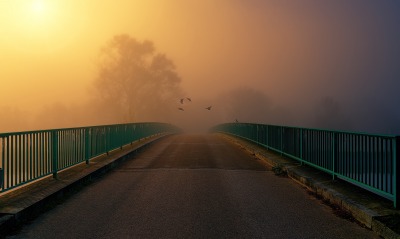 мост, туман