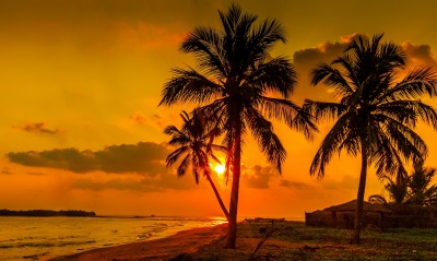закат, пальмы