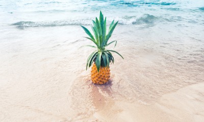 ананас, море