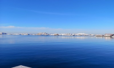 залив синева море зима