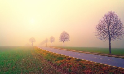 дорога туман рассвет