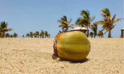 кокос, песок