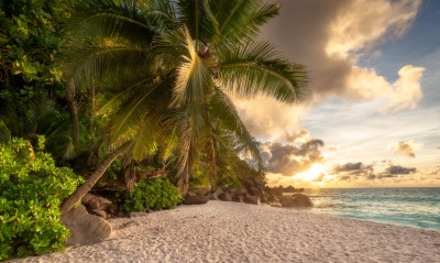 пляж песок пальма рассвет